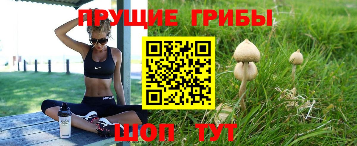 Псилоцибиновые грибы GOLDEN TEACHER Сибай